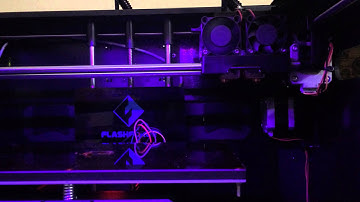 Flashforge Creator Pro grinding noise