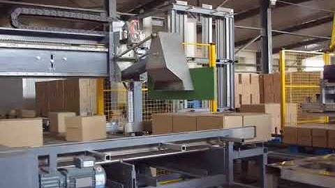 Automatic robot hand organizing palletizing machine with conveyor pushing feeding machine