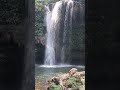 #waterfall WATER FALL AT JIMCORBETT#jimcorbett