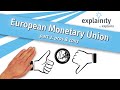 Understanding the Euro and Its Impact