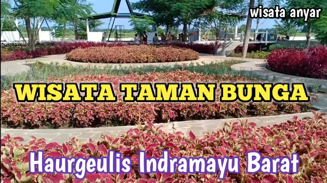 Wisata Taman Bunga Haurgeulis  Indramayu YouTube