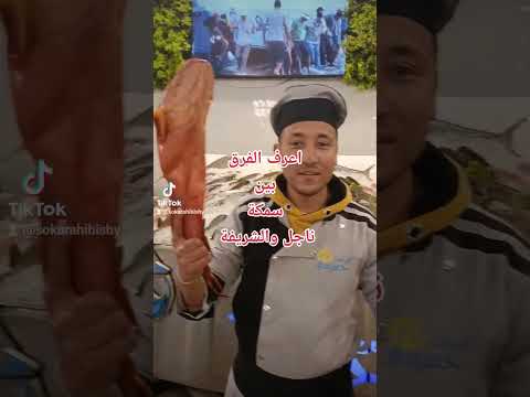 سمك اخواتي بس قدروا تعبي بلايك واشتراك وتعليق حلو متلك اعرف الفرق بين سمك الناجل و الشريفة