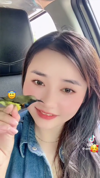 Bẩy chim hút mật 5 màu