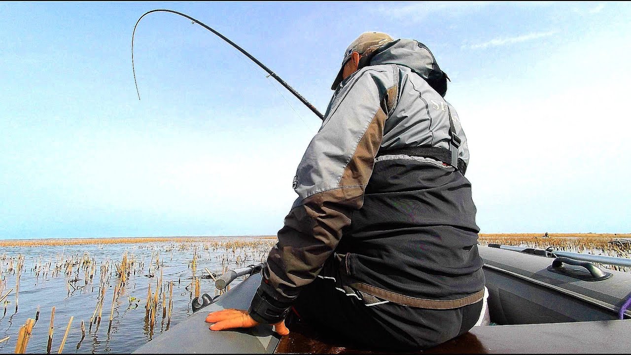 КАРАСИ РВУТ Лески И Гнут КРЮЧКИ  Рыбалка на поплавочную удочку