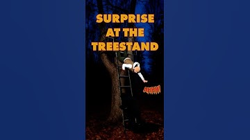 Charles Beaty Shares His Funniest Deer Hunting Story #funny #hunting #country