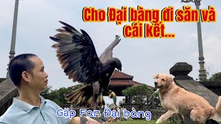 Cho Đại bàng đi săn ở đảo Bồng Lai và cái kết....