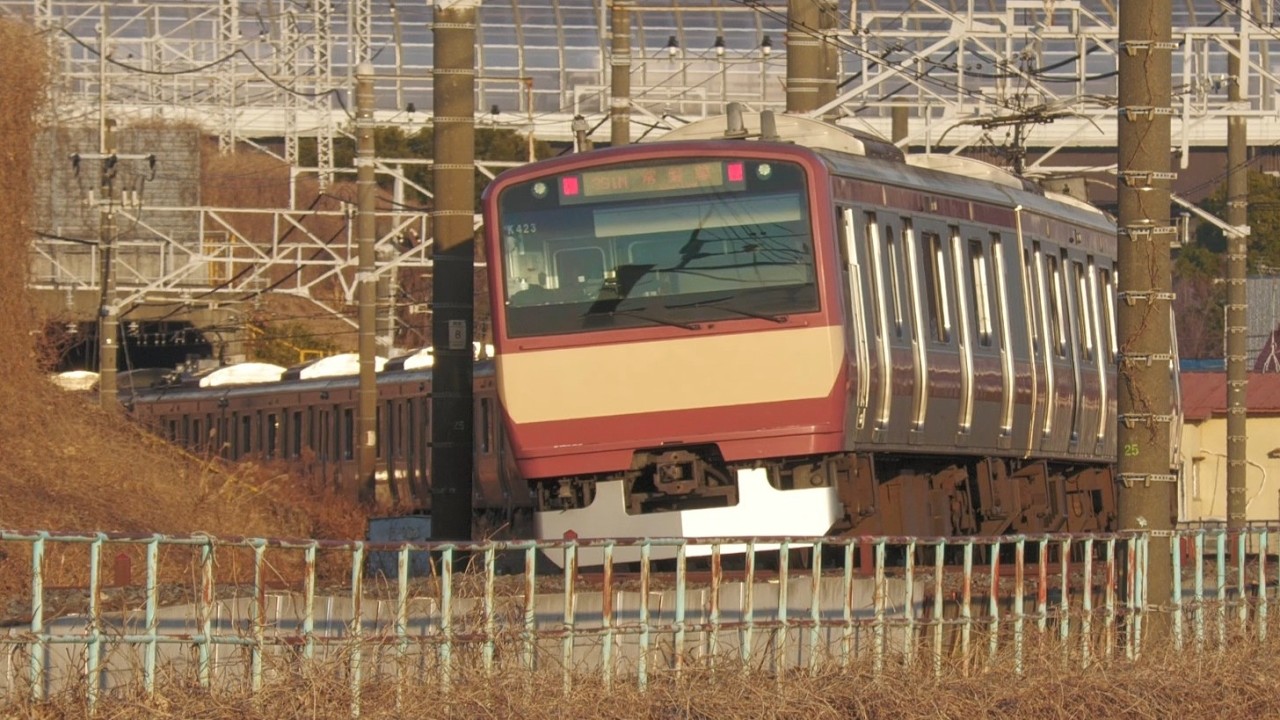常磐線　江戸川橋梁付近を走行する電車たち（E231系、E531系、E657系他）