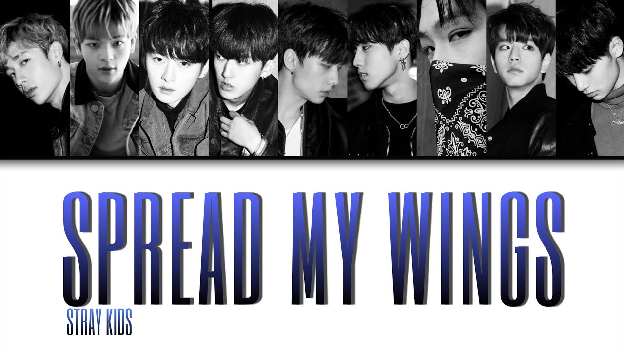STRAY KIDS Spread My Wings [FanSub VOSTFR/Color Coded] YouTube