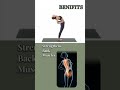 Standing Backbend Benefits | Anuvittasana for Spine Flexibility & Better Posture
