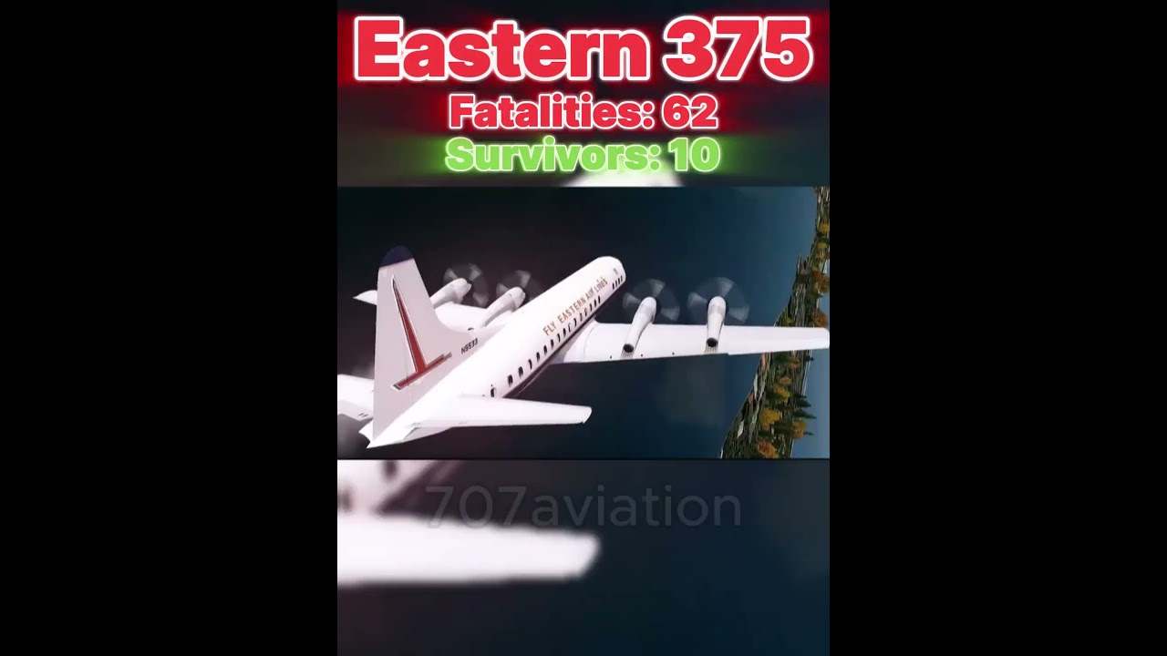 Plane Crashes caused by Bird Strikes I 