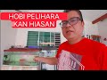 Aktiviti Di Hujung Minggu Cuci Filter Akarium Ikan Hiasan, Kota Samarahan Sarawak