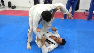 Raspagem guarda aranha/triângulo na guarda (Luciano Cardoso) Lotus Cetepe