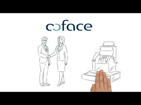 Zahlungsausfälle verhindern - Kreditmanagement mit Coface