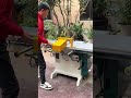 Perfect Wood Cutting with Sliding Table Saw