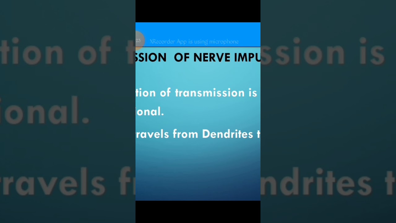How nerve impulses travel?