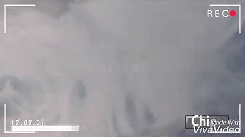 Nurses Zone(documentary)-by-Chipo James Mainda=Fertilization