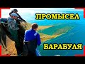 Рыбалка. Как ловят барабульку, промысел.