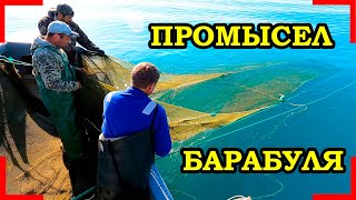 видео: Рыбалка. Как ловят барабульку, промысел. картинка: Рыбалка. Как ловят барабульку, промысел.