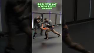 Donovan Wisse Sparren