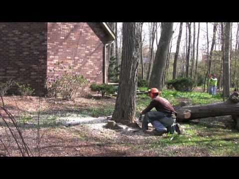 Great Lakes SmackDown! Terrestrial Terror | Emeral...