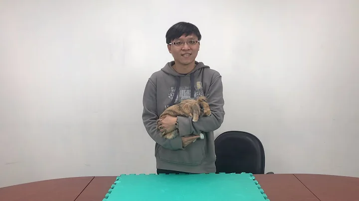 破5000来聊天，大家过年要干嘛呀？顺便跟币宝一起来福袋开箱吧 - 天天要闻