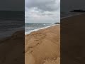 Blissful Beach Shore