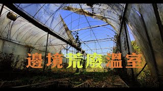 Abandoned Greenhouse at the Border -- Siemens London Telegraph Poles Series SS7