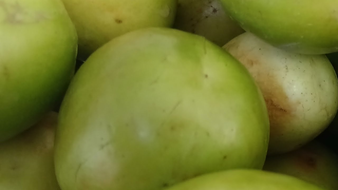 ሰላም ቤተሰብ