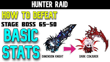 Hunter Raid - Dimension Knight ➜ Dark Conjurer