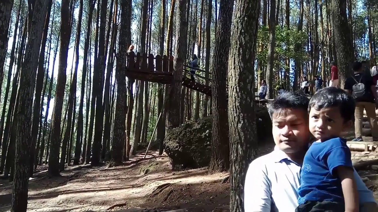 Tempat wisata romantis di Hutan Pinus Jogja YouTube