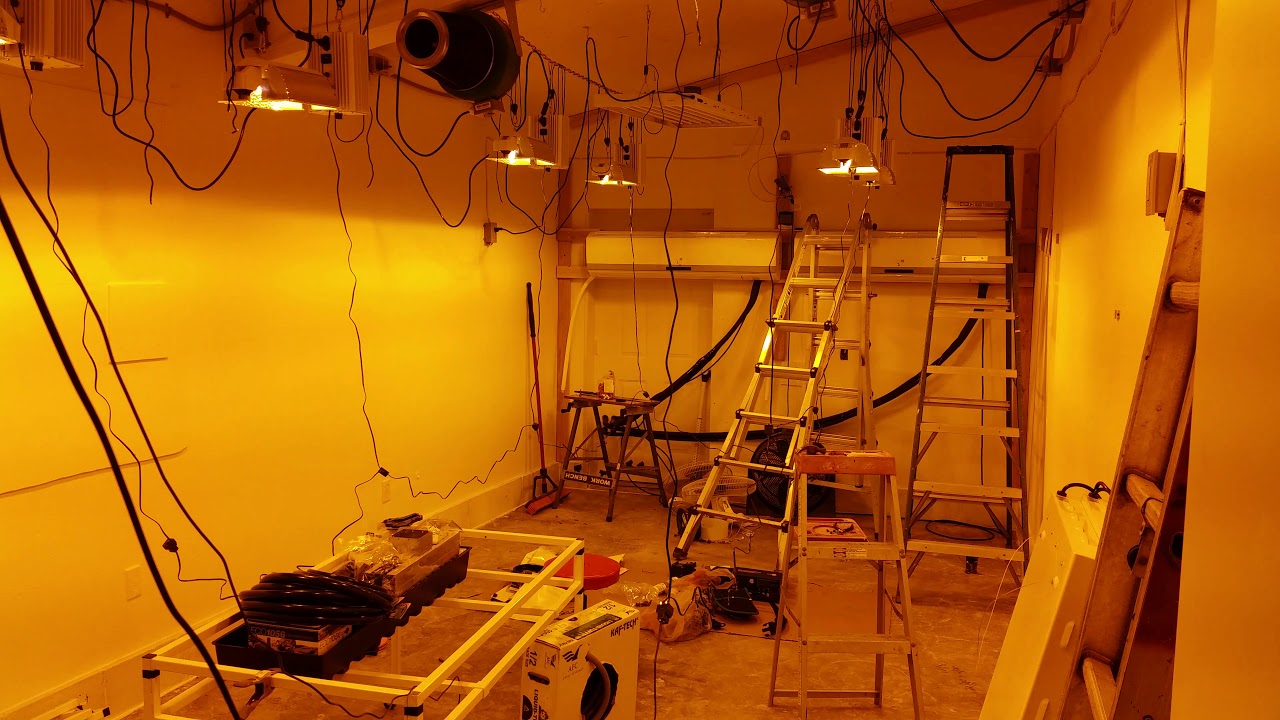 Gavita 1000w test light-up @Office