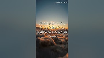 سورة فصلت من آية 21 إلى آية 22 بصوت الشيخ ياسر الدوسري♥♥