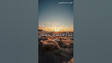 سورة فصلت من آية 21 إلى آية 22 بصوت الشيخ ياسر الدوسري♥♥