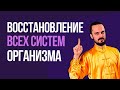 Как восстановить все системы организма и избавиться от целого БУКЕТА проблем со здоровьем.