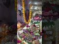 mahadev❤️🙏 Kedarnath💗 temple mandir🌸 status video #mahadev #kedarnath #temple #status #love #2line