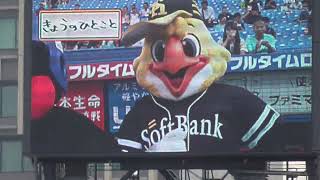 大爆笑!!つば九郎のこんなハリーホークはいやだ!!きょうのひとこと 2023.06.14 プロ野球交流戦 ヤクルトスワローズvsソフトバンクホークス