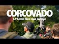 CORCOVADO, la Costa Rica más salvaje | COSTARICA#7 | TrotandoMundos