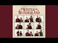 Miniature de la vidéo de la chanson Winter Wonderland