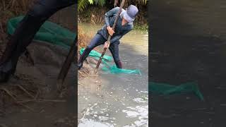 Thử Đặc 2 Cái Lờ Khổng Lồ#DoiSongNhaNong#LoCa#shortsvideo