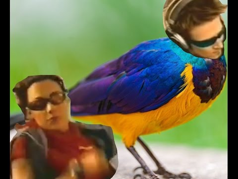 Darude Birdstorm - Darude Birdstorm