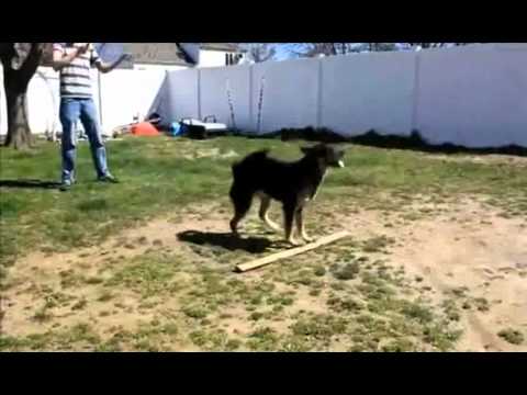 zagli saxtunaoze(1).flv