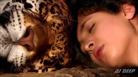 Thumbnail of Wonderfull  Chill  Out Music Love Session On Amazing HD Video The Original