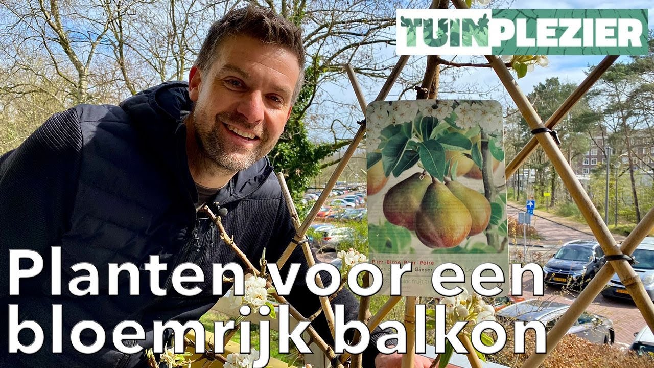 Planten voor een bloemrijk balkon | Tuinplezier