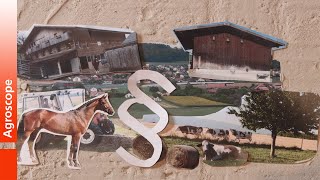 Wo darf man Pferde halten in der Schweiz?