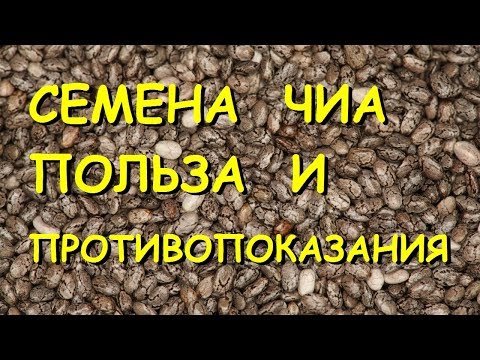 Видео: Чиа семена - как да ги използвам? Рецепти, полезни свойства и противопоказания