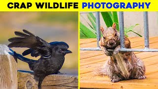 Crappy Wildlife Photos That Are So Bad They’re Good (part 3)