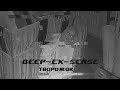 DEEP-EX-SENSE - Творожок (.Otrix diss, CloudLight prod.)