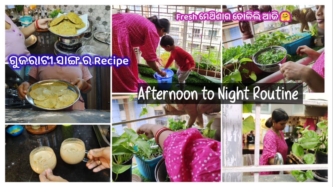 Balcony Garden ରୁ Fresh ମେଥି ଶାଗ🌿☘️ତୋଲିକି ବନେ଼ଇଲି ଗୁଜରାଟୀ Thepla😋Rainy Day🌧️ Afternoon to Night Vlog
