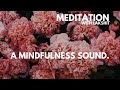 A mindfulness sound  guided meditation  lakshit kankariya 