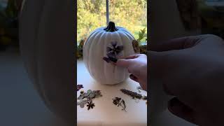 How to Make Flower Decoupage Pumpkins! #perennials #falldiys